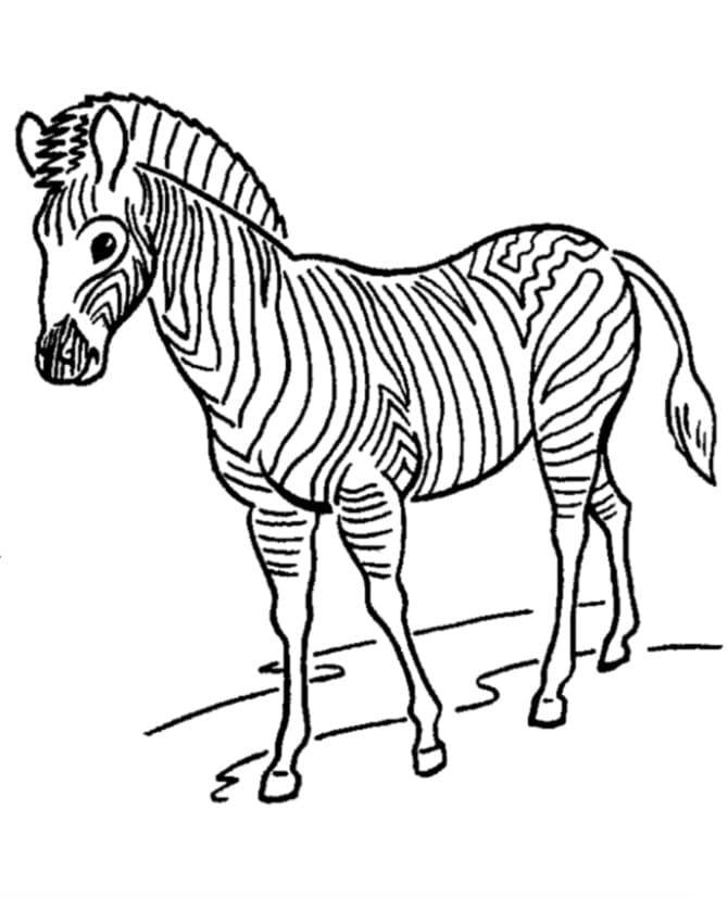 Tô màu Một Con Ngựa Vằn - Trang Tô Màu Cho Bé