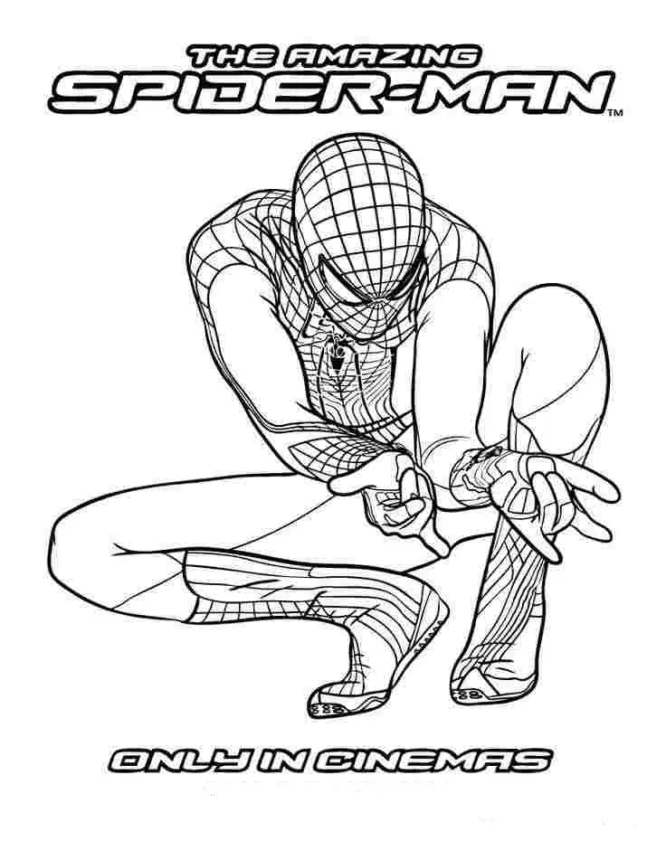 Top 55+ về tranh tô màu spider man hay nhất - trieuson5