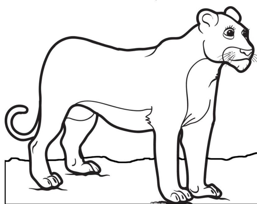 Tổng hợp 54+ về sư tử tô màu mới nhất - Du học Akina