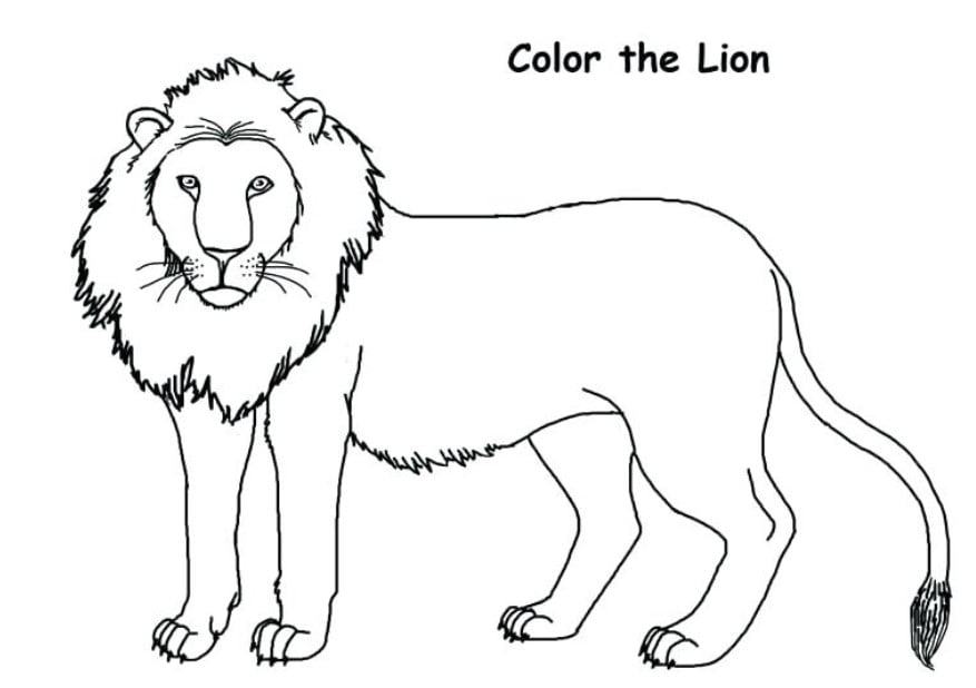 Chi tiết hơn 60 về tô màu con sư tử - cdgdbentre.edu.vn