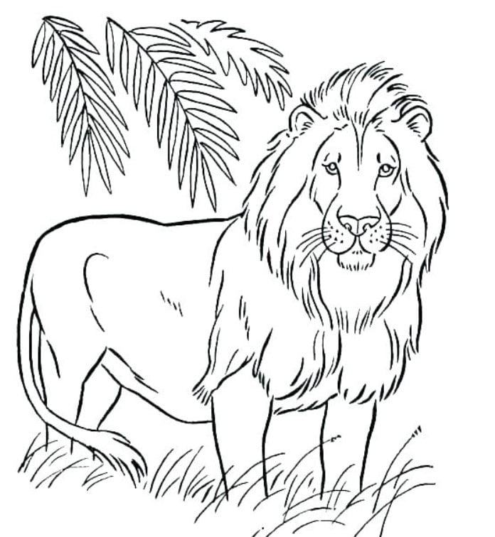 Xem hơn 100 ảnh về hình vẽ sư tử ngầu - NEC