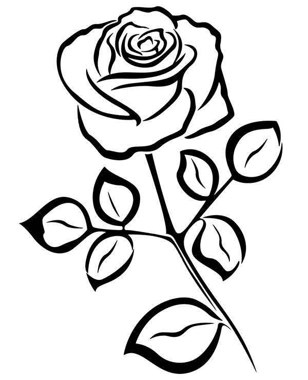 Hướng dẫn vẽ Hình vẽ bông hoa hồng đỏ thắm nồng nàn