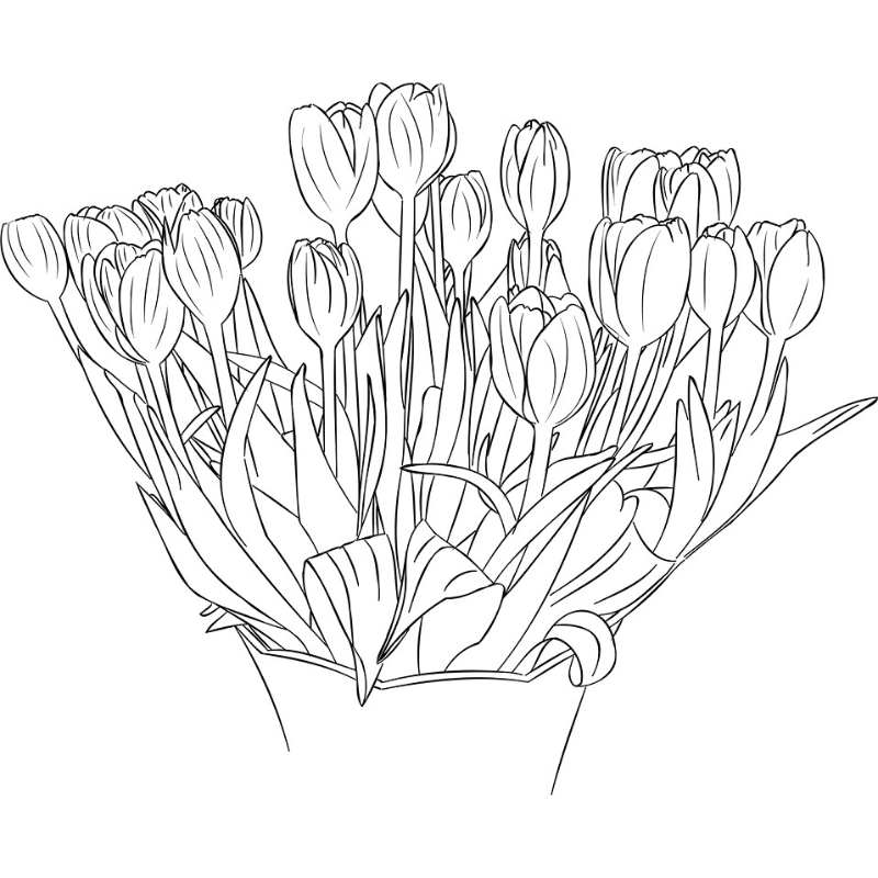 Bộ Sưu Tập Tranh Tô Màu Hoa Tulip