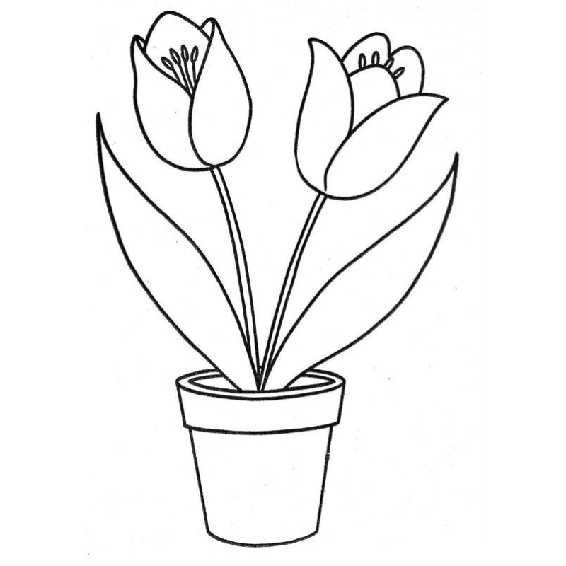 Kỹ Thuật Tô Màu Làm Thế Nào Để Tô Màu Hoa Tulip Sống Động