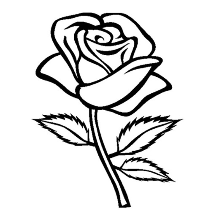 Tô màu vẽ hoa hồng cho trẻ em Hướng Dẫn Tô Màu Vẽ Hoa Hồng Cho Bé