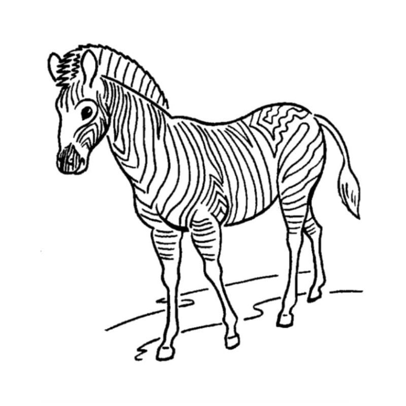 Bí Quyết Tô Màu Ngựa Vằn Kỹ Năng Cần Thiết Cho Bé