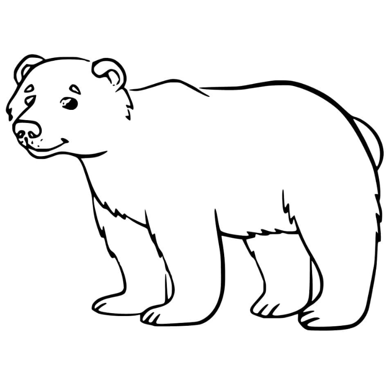 Khám Phá Ý Nghĩa Của Màu Sắc Trong Tranh Tô Màu Con Gấu