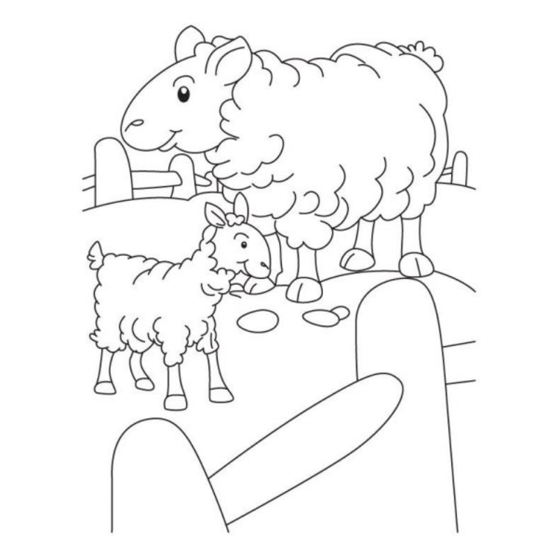 Bí Quyết Tô Màu Con Cừu Sống Động Như Thật