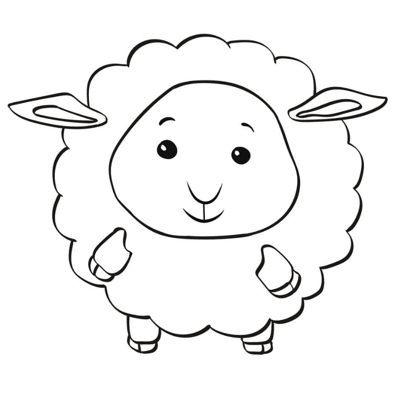 Cách Phối Màu Hoàn Hảo Khi Tô Màu Hình Ảnh Con Cừu