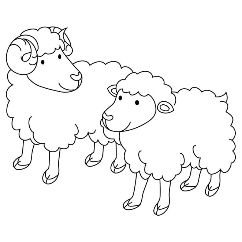 Chia Sẻ Kinh Nghiệm Tô Màu Con Cừu Đẹp Và Đơn Giản