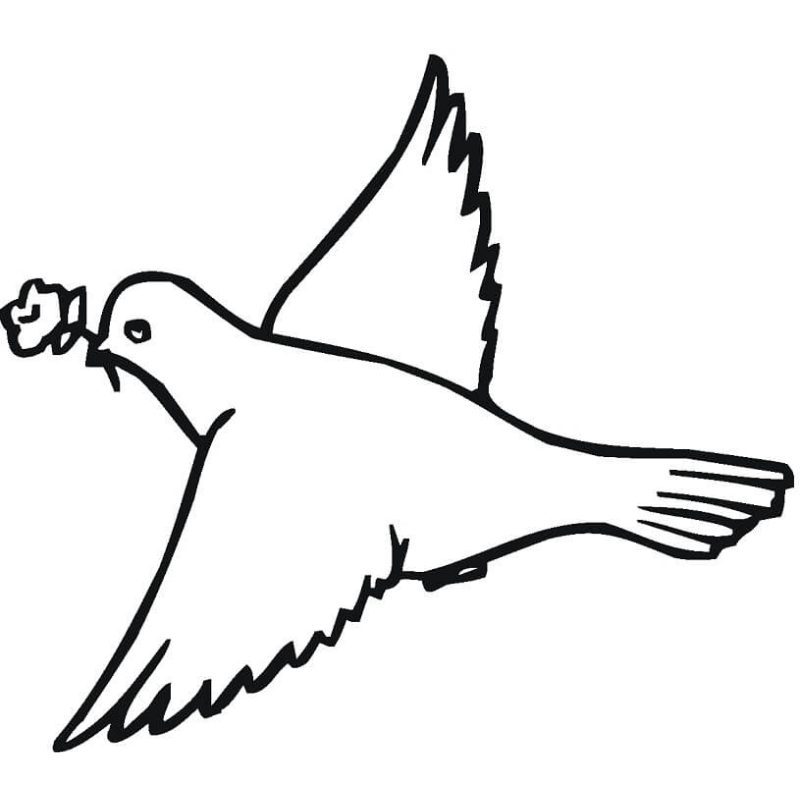 Hướng dẫn tô màu chim bồ câu bằng bút lông