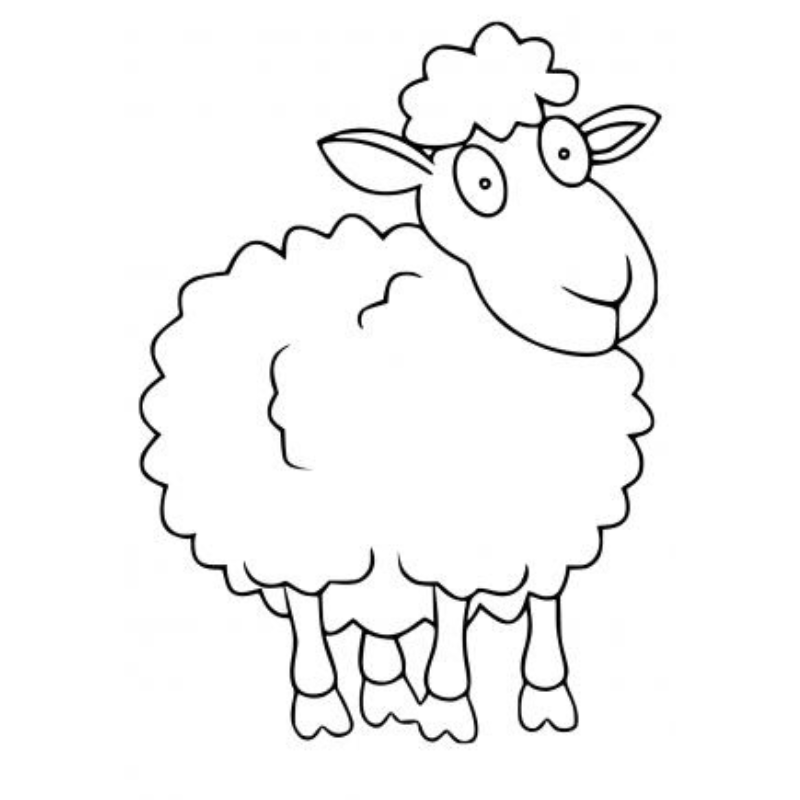 Kỹ Thuật Tô Màu Con Cừu Bạn Không Thể Bỏ Qua