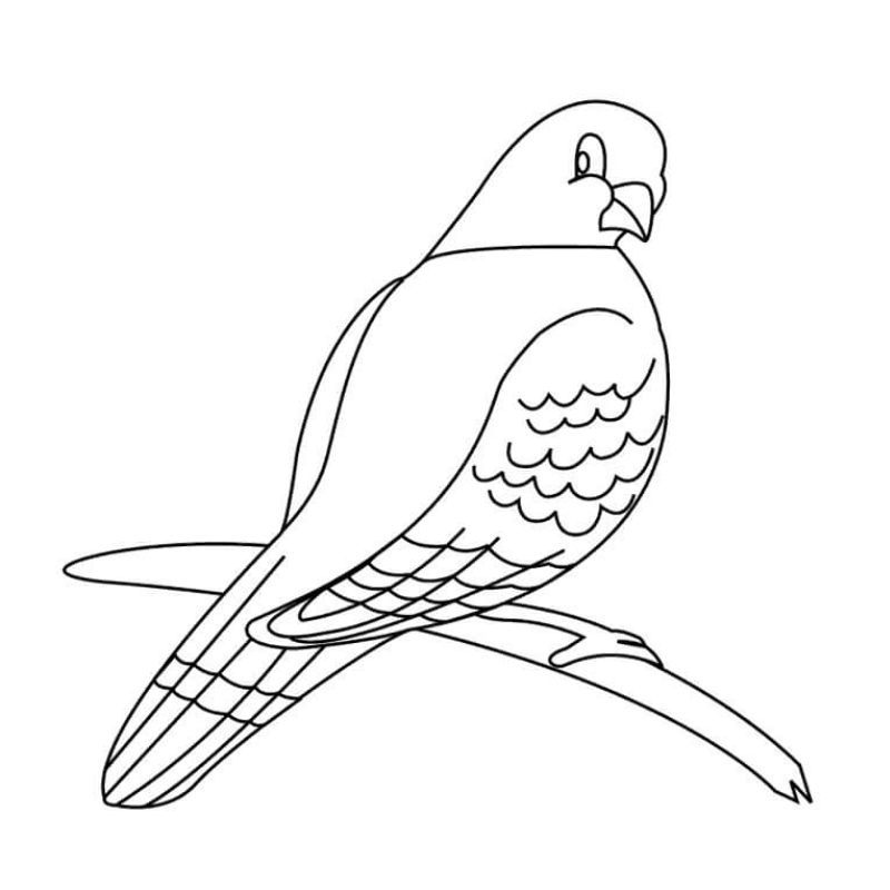 Thư viện tranh tô màu chim bồ câu Cẩm nang tô màu cho trẻ em