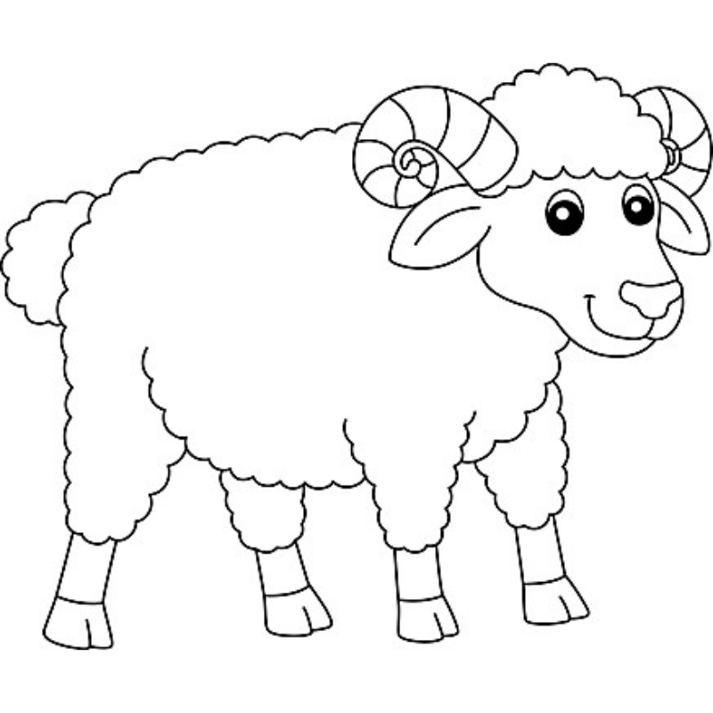Tô Màu Con Cừu Một Hoạt Động Thú Vị Cho Cả Gia Đình